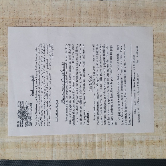 Vintage Authentic Hand Painted Papyrus Certified - Picture 3 of 3